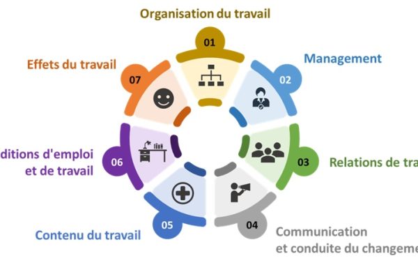 Grille_analyse_QVCT